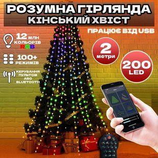Гирлянда LED Конский хвост RGB USB с пультом 2м 10 нитей: На ёлку праздничная P000201 фото