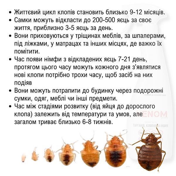 Wellpex Venom Spray Готовий спрей від клопів та тарганів 750мл: Без запаху VS750 фото