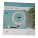 Ring Light LED Кільцева лампа 33см з тримачем для смартфона: Для блогерів та відео P000159 фото 2